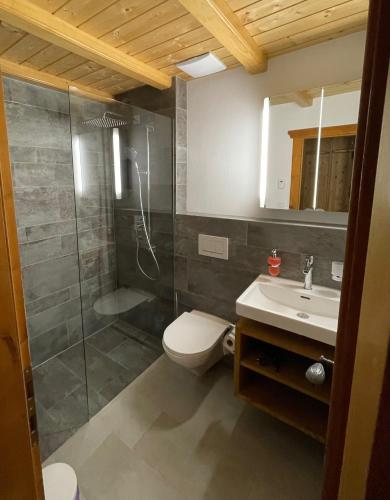 a bathroom with a shower and a toilet and a sink at Apartment Fadail 2B in Lenzerheide