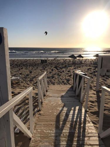 a wooden pathway to the beach with a bird flying over it at T2 com uma vista deslumbrante sobre o Atlântico! in Costa da Caparica