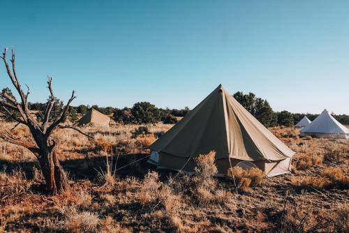 a tent in the middle of a field at Wander Camp Grand Canyon in Valle