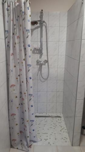 a bathroom with a shower with a shower curtain with fishes at Kis Ház Apartman in Zalacsány