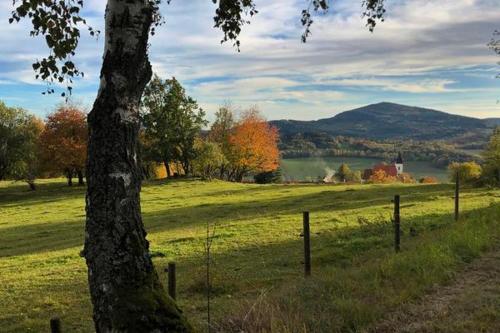 a field with a tree and a fence and a lake at Chalupa u Brčáků in Ktiš