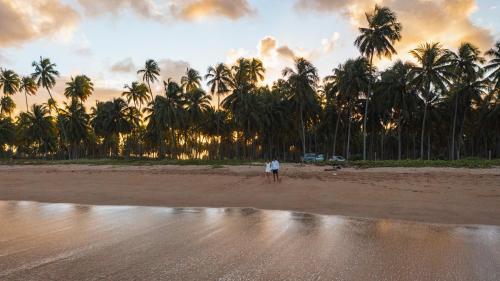 a person standing on a beach with palm trees at Housi, condo beira mar em Milagres in Passo de Camarajibe