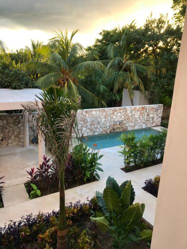 a tropical garden with a swimming pool and palm trees at Departamento para 4 Personas Sueñitos en Bacalar in Bacalar