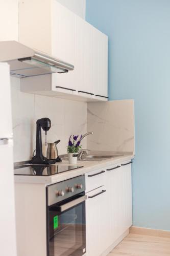 Cucina o angolo cottura di Diamanti Apartments Downtown Limenas Thasos