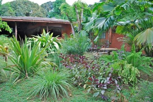 a garden with plants in front of a house at Los Mineros Guesthouse in Dos Brazos