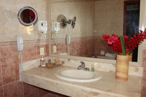 a bathroom with a sink and a vase of red flowers at Ecotel Quinta Regia in Valladolid