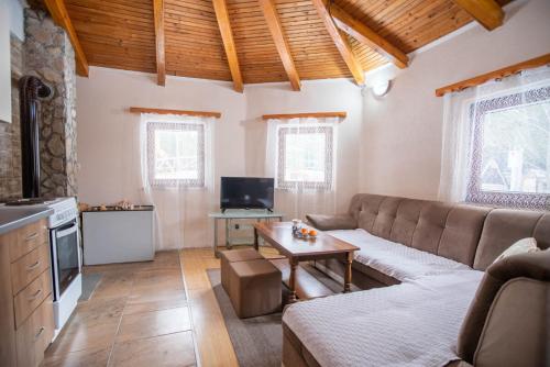 Μια τηλεόραση ή/και κέντρο ψυχαγωγίας στο Apartment Blidinje, Ranch Mikulic