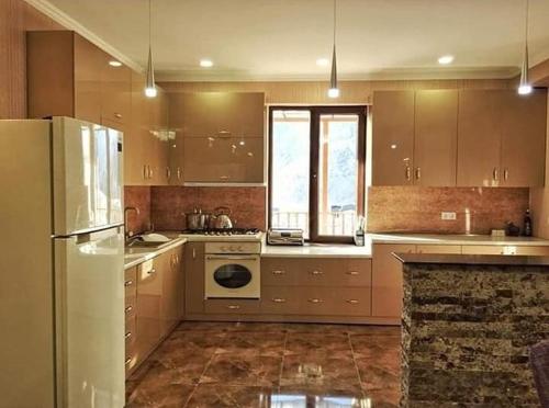 a kitchen with a refrigerator and a stove top oven at Hotel Diamond Kazbegi in Kazbegi