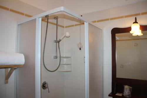 bagno con doccia e porta in vetro di Hotel La Caminatha a Zoldo Alto