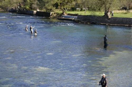 Θέα στο ποτάμι κοντά σε αυτή η παραθεριστική κατοικία