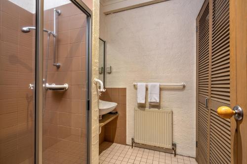 a bathroom with a shower and a sink at Snowgums 13 in Dinner Plain