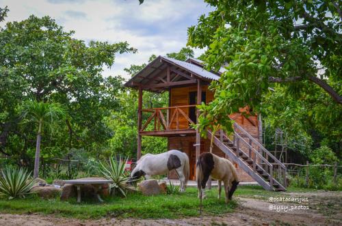Oca Tocarijus Eco Resort – Photos 2