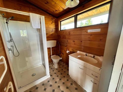 a bathroom with a shower and a sink and a toilet at Church House Beside the Lake in Lake Tekapo