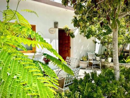 a patio with two chairs and trees and plants at La Casita Inn Bustamante in Bustamante