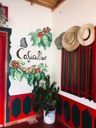 Fotografie z fotogalerie ubytování Caficultur -Alojamiento Rural v destinaci Buenavista
