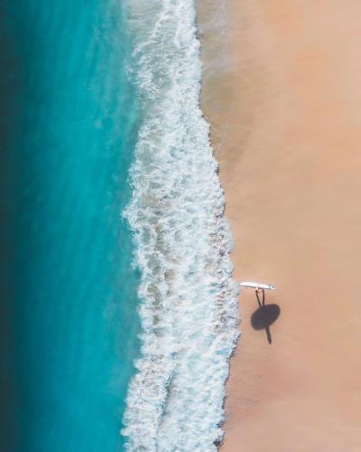 an aerial view of a beach with a white wave at Ocean Sands Beach Boutique Inn-1 Acre Private Beach-St Augustine Historic-2 Miles-Shuttle with Downtown Tour-HEATED Salt Water Pool until 420AM-Popcorn-Cookies-New 4k USD Black Beds- 69 Item Breakfast-Eggs-Bacon-Starbucks- Free Laundry- #904-799-SAND in Saint Augustine