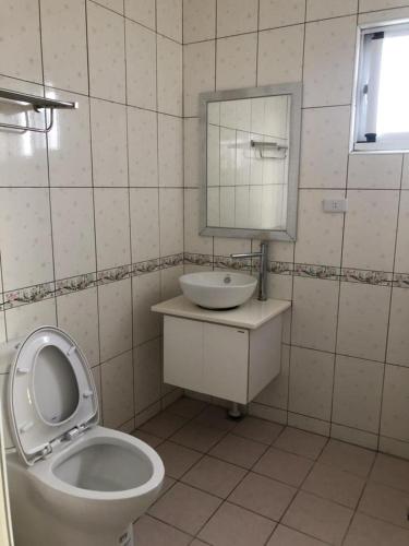 a bathroom with a toilet and a sink and a mirror at Mermaid B&B in Green Island