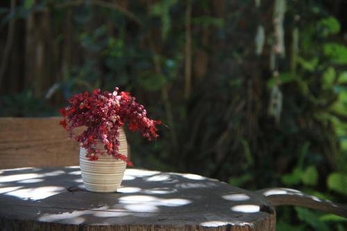 a vase with red flowers sitting on a table at Plumeriahome near Chiangmai Airport in Chiang Mai
