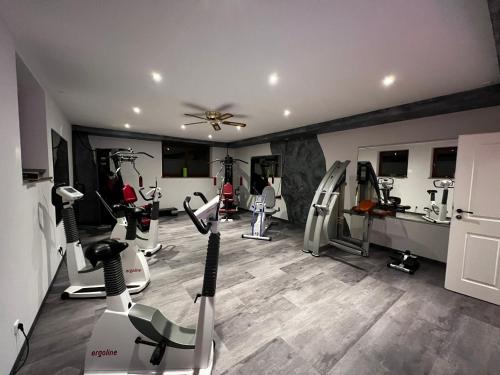 Fitness centrum a/nebo fitness zařízení v ubytování Parkhotel Sonnenhof