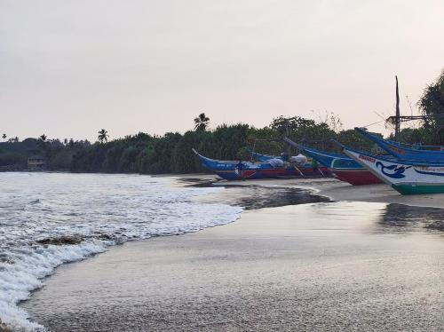 a group of boats on the shore of a beach at Schatzi's Hideaway in Tangalle