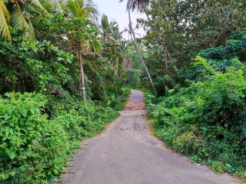 a dirt road in the middle of a forest at Schatzi's Hideaway in Tangalle