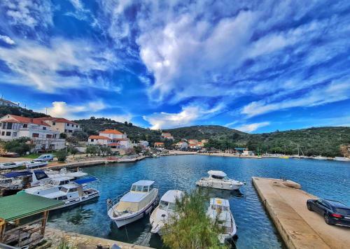 Apartment Zaglav 1 - first sea row