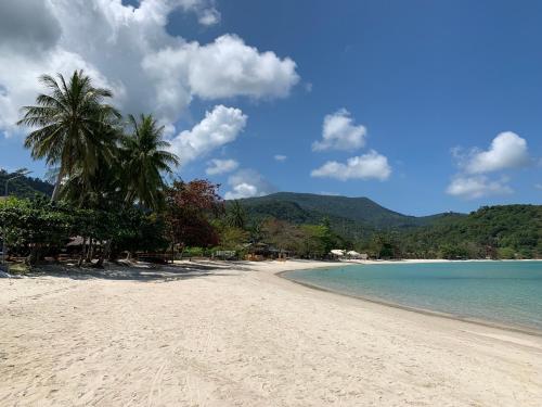 een strand met een palmboom en de oceaan bij Havana Beach Resort Phangan in Thong Nai Pan Yai