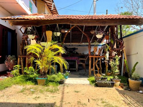 Dreams beach – Photos 4