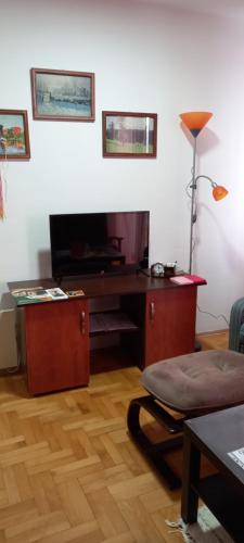 TV a/nebo společenská místnost v ubytování Apartman Domina