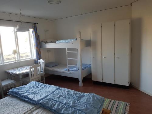 a bedroom with two bunk beds and a bed at Furudals Vandrarhem och Sjöcamping in Furudal