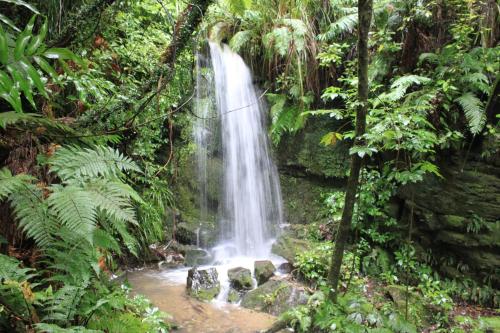 Naturlandschaft in der Nähe des Resorts