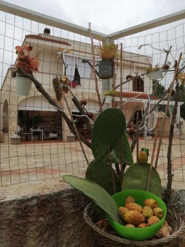 a bowl of fruit in a basket with a plant at B&B Villa Nonna Maria in Castellana Grotte