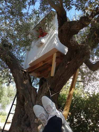 a person standing in a tree with a bird house in a tree at B&B Villa Nonna Maria in Castellana Grotte