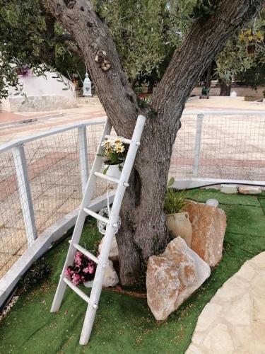 a white ladder leaning against a tree with flowers at B&B Villa Nonna Maria in Castellana Grotte