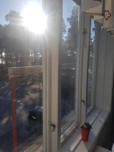 two windows in a house with the sun shining through at Furudals Vandrarhem och Sjöcamping in Furudal