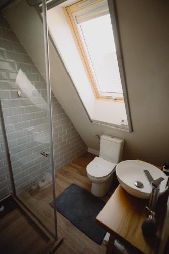 a bathroom with a shower and a toilet with a skylight at Treeline Cabins in Cădăreşti