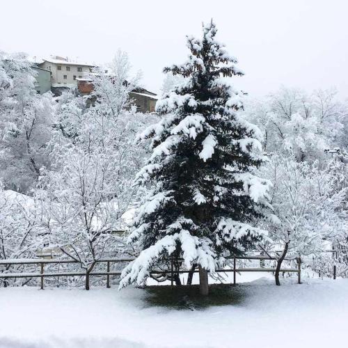 a snow covered pine tree next to a fence at El Jardí Casa rural ideal para familias y grupos in Arfa