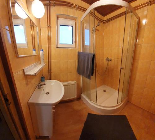 a small bathroom with a shower and a sink at Gesztenyés Apartmanház Tiszaalpár in Tiszaalpár
