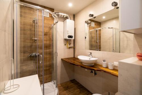 uma casa de banho com um lavatório e uma cabina de duche em vidro. em Apartament Moniuszki 22 em Toruń
