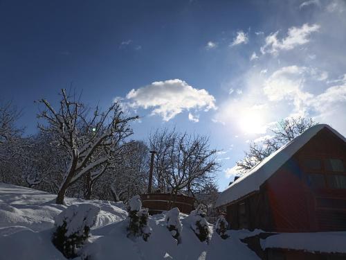 Pension Verde – Photos 3