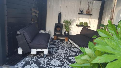 Hip Castricum – Photos 2