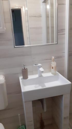 a bathroom with a white sink and a mirror at Garden Szivárvány utcai Vendégház in Szeged
