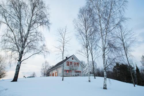 Vasekoja Holiday Center في Vahtseliina: منزل في الثلج اشجار