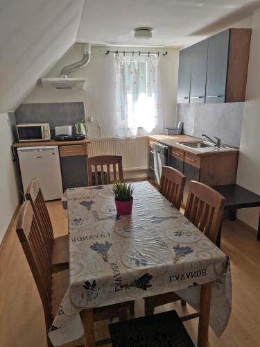 Una cocina o zona de cocina en Sedlonov 178