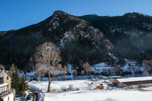 a view of a mountain with snow and trees at Pierre & Vacances Aparthotel La Tulipa in Ordino