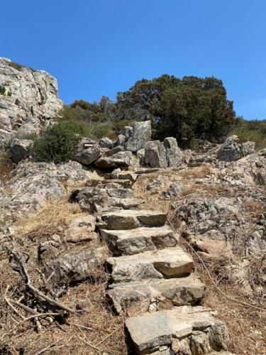 Φυσικό τοπίο κοντά σε αυτή η βίλα