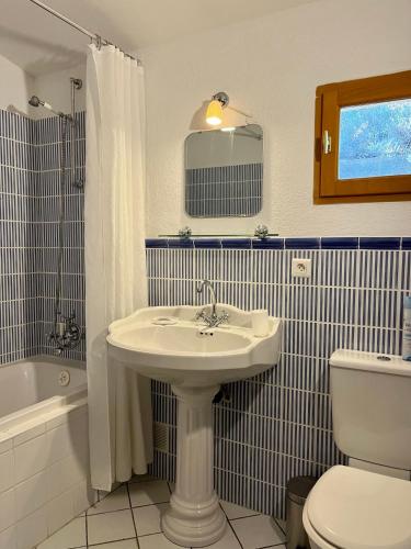 une salle de bain avec un lavabo et des toilettes dans l'établissement Holiday Home Villa St Arnoux, à Seillans