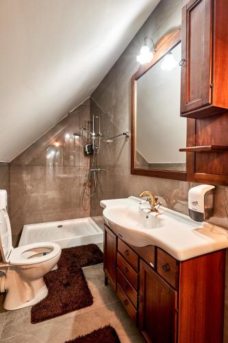 a bathroom with a sink and a toilet and a tub at PENSIUNE RESTAURANT CAPRA NEAGRA in Moisei