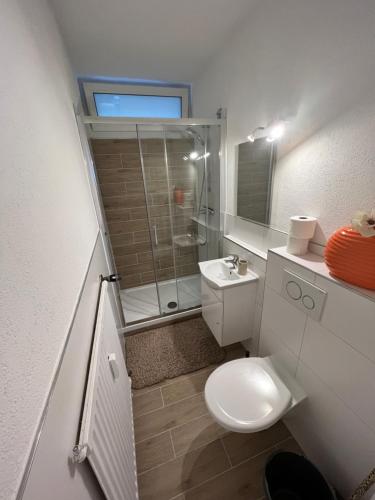 y baño con ducha, aseo y lavamanos. en KnocksCasa4You Apartment Nr 16 en Marburg an der Lahn