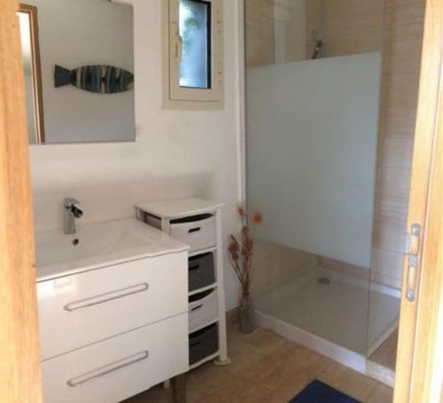 a bathroom with a sink and a shower at Petite maison en pierre in Saint-Florent